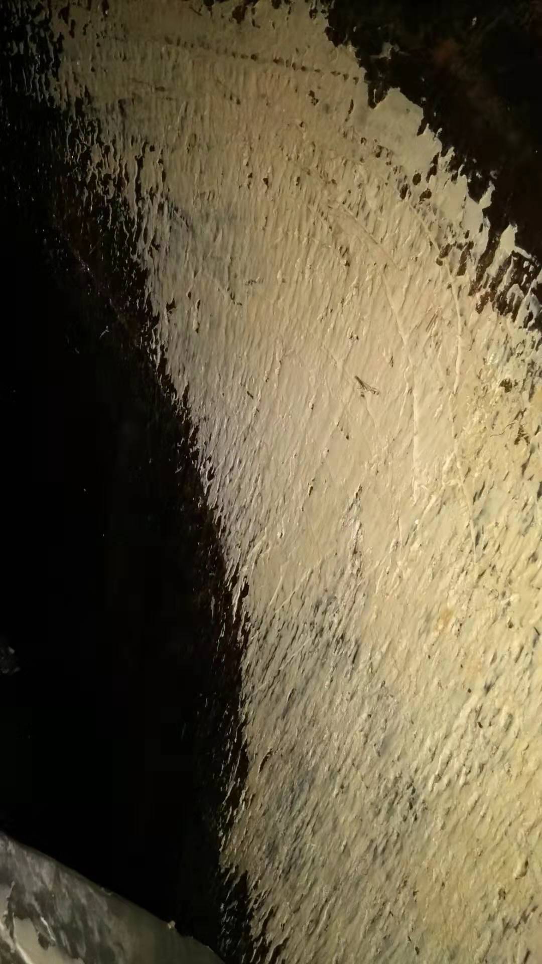 水性機葉輪修復 水性機葉輪修復